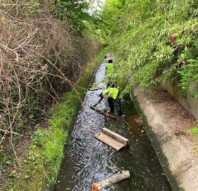 Dodham Brook flood channel feature experimenting