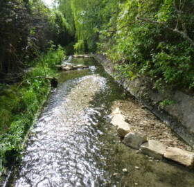 Dodham Brook flood channel feature experimenting