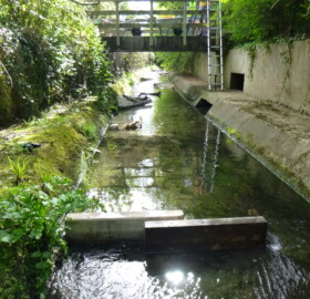 Dodham Brook flood channel feature experimenting