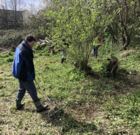 able2achieve clearing wildflower area at Lawrence Way