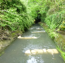 Features in Dodham Brook flood channel helping to create new habitats and build 'blue corridor' for wildlife