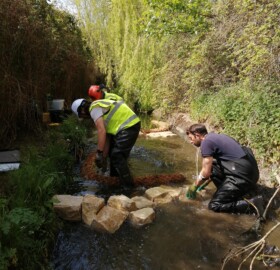 Dodham Brook flood channel feature experimenting