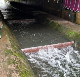 Dodham Brook restoration works under Newton Road bridge before weir