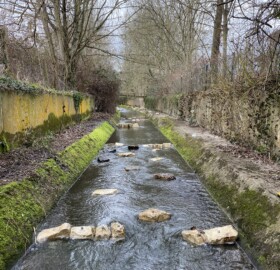 Dodham Brook restoration features are being made, creating a functioning ‘blue corridor’ which allows wildlife to move freely between areas.