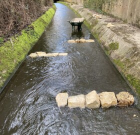 Dodham Brook restoration features are being made, creating a functioning ‘blue corridor’ which allows wildlife to move freely between areas.