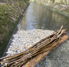 Dodham Brook restoration features are being made, creating a functioning ‘blue corridor’ which allows wildlife to move freely between areas.
