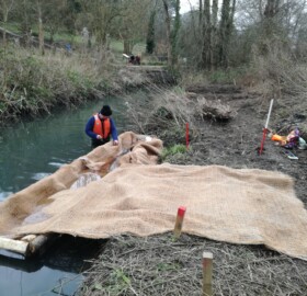 Dodham Brook Restoration, aquatic bench being built