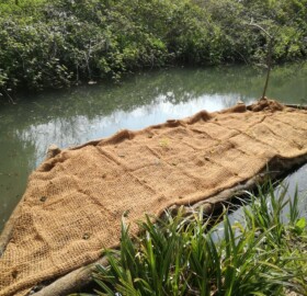 Dodham Brook Restoration, aquatic bench