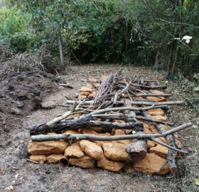 Hibernaculum being built at Alvington Pond, Brympton