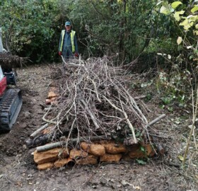Hibernaculum being built at Alvington Pond, Brympton