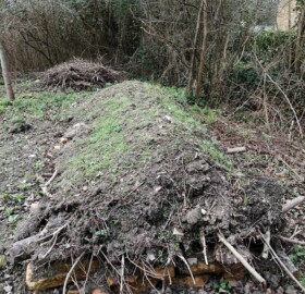 Alvington Pond hibernaculum