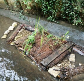 Dodham flood channel feature, planted with native marginal species