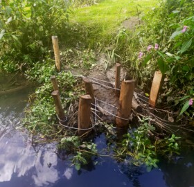 newly installed berm in Dodham Brook