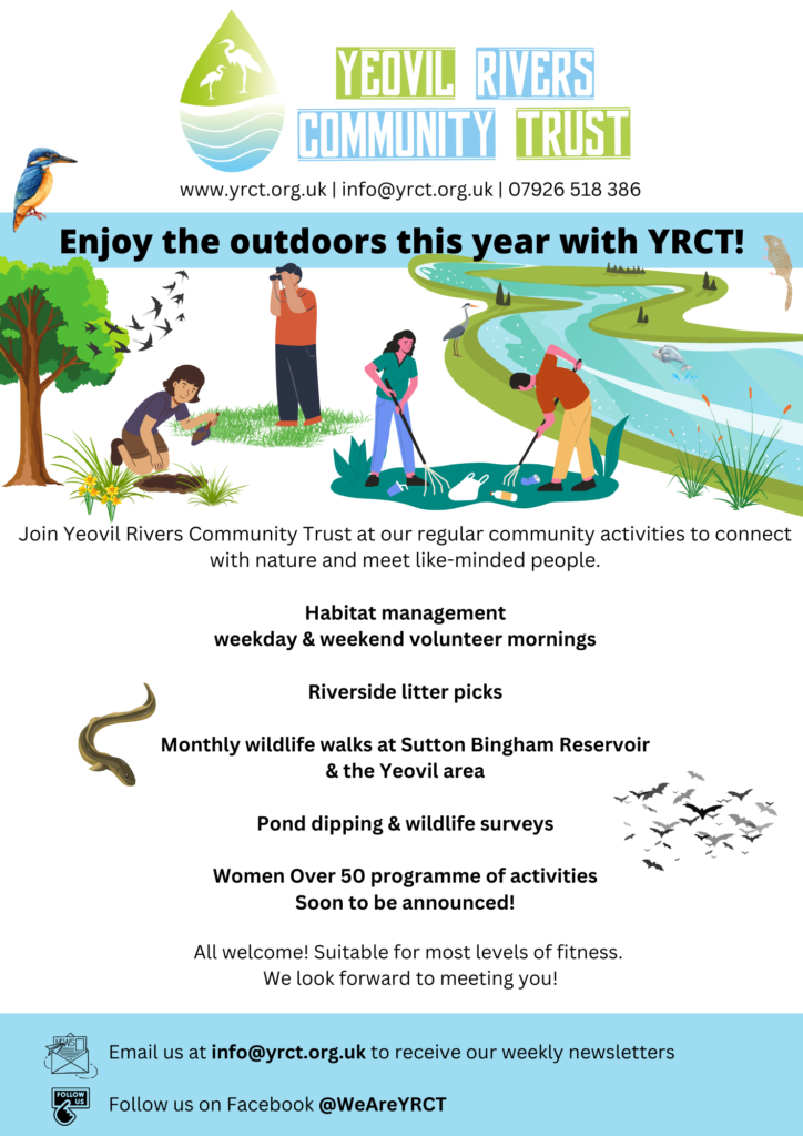 YRCT 2024 activities poster