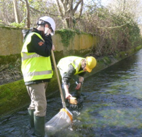 Kick sampling in Dodham Brook flood channel