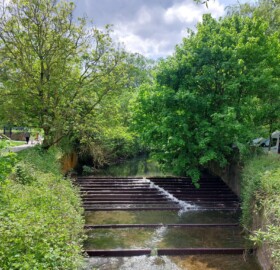 Ninesprings weir fish pass