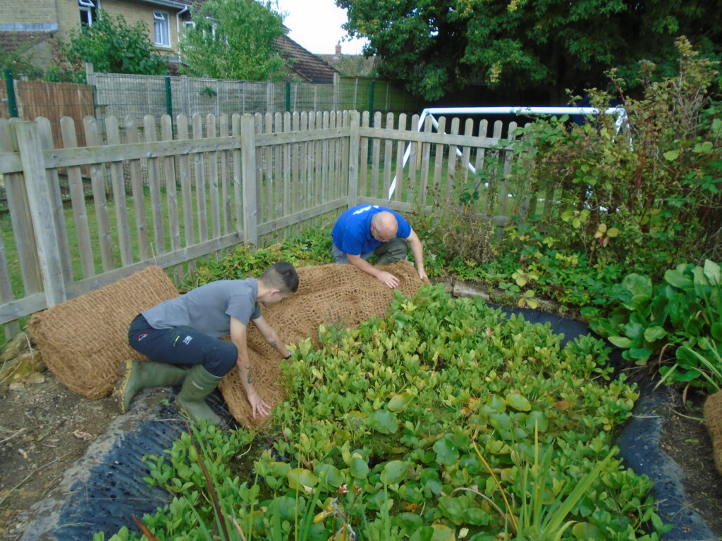 Pond enhancement work at St. Margaret's Primary School, Tintinhull