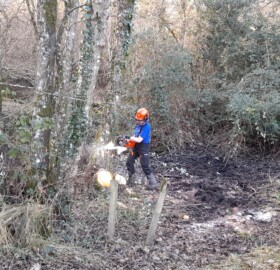Cutting wooding material onsite at Lyon's Gate for NFM features