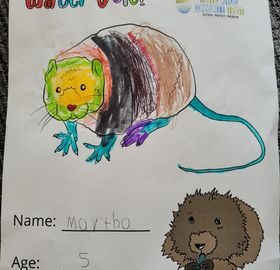 Water vole colouring in sheet