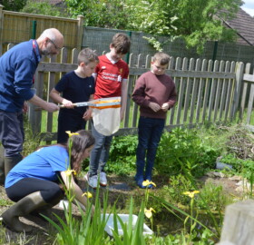 Pond Dipping at St. Margaret's Primary School