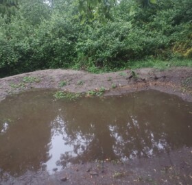 Attenuation pond created at Hilfield Friary as part of natural flood management implementations