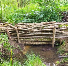 Leaky dam for attenuation storage built at Lyons Gate Farm as part of natural flood management implementations