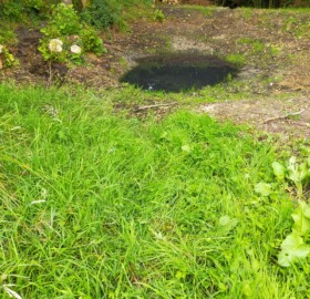 De-silted & re-profiled pond created at Lyons Gate Farm as part of natural flood management implementations
