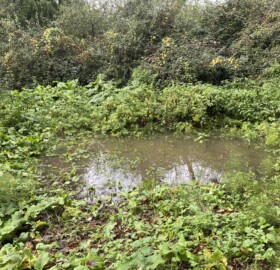 Attenuation pond