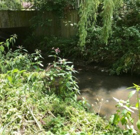 Dodha Brook at Ninesprings car park