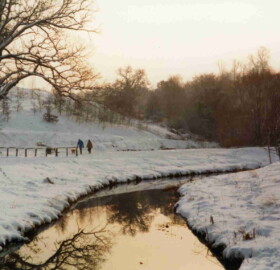 Archive photo of Dodham Brook at Yeovil Country Park
