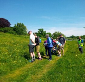 Wildlife walk attendees Identify plants in the hay meadows at Sutton Bingham Reservoir