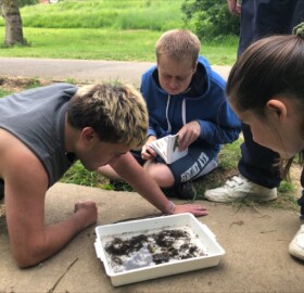 able2achieve learners and Lorna looking at Preston Brook kick samples.