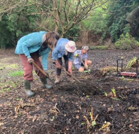 Volunteers planting Yellow Flag Iris at Oak Tree Park Pond September 23