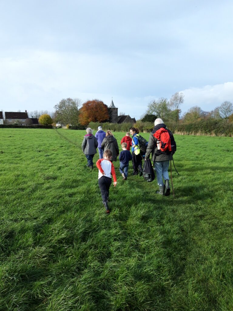 Queen Camel wildlife walk